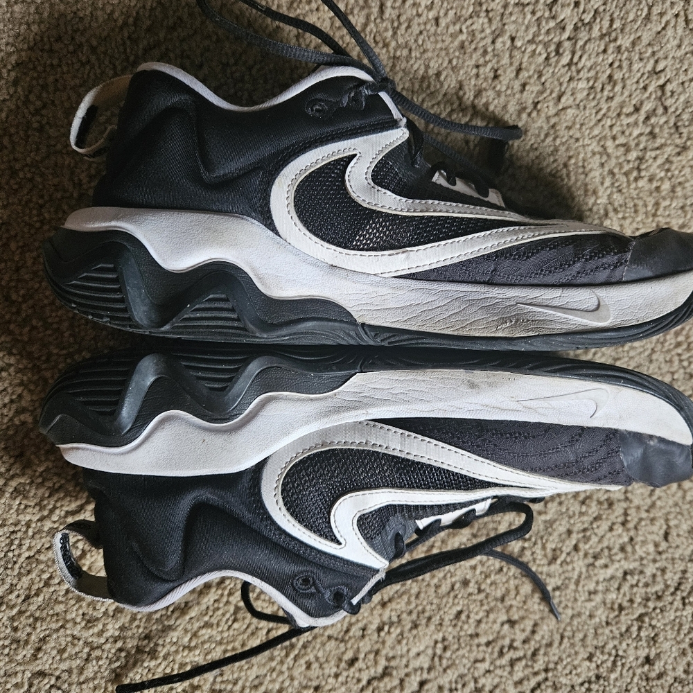 Men's Nike Giannis Shoes